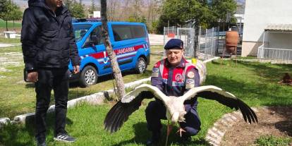 Yaralı halde bulunan leyleğe şefkat eli