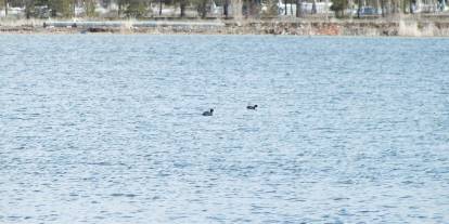 Ulaş Gölü'nde su seviyesi yükseldi
