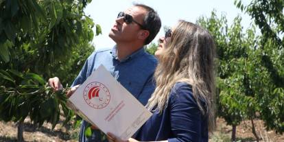 TBMM Zirai Don Olayını Araştırma Komisyonu taslak raporunu tamamladı