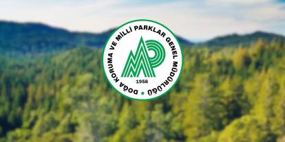 Sivas İçin "Bölge" Vakti