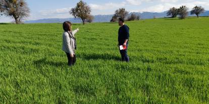 Sivas'ta  yerli tohum seferberliği: 5 yeni çeşit toprakla buluştu