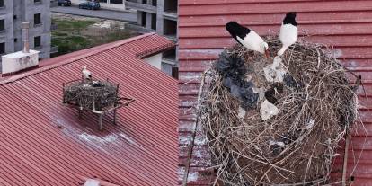 Sivas’ta baharın müjdecisi geldi! Öğrenciler sevinçten uçtu