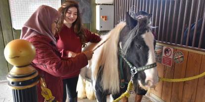 Yaşlılar için atla terapi dönemi başladı