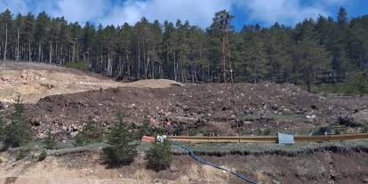 Sivas'ta ağaç katliamı!