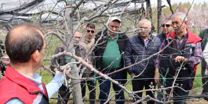 Sivas’ta meyve üreticilerine doğru budama eğitimi