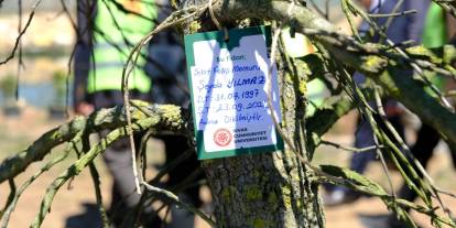 Sivas'ta fidanlar şehitlerin isimleriyle toprakla buluştu