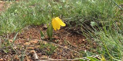 Sivas'ta doğanın nadir düzelliği