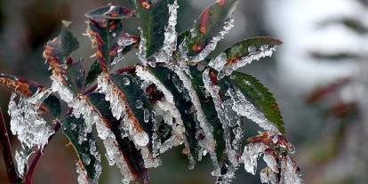 Sivas için kritik uyarı