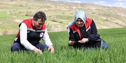 Sivas'ta çiftçiler sarı pas hastalığına karşı uyarıldı
