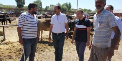 Zara Ziraat Odası Başkanı Zeki Şimşek’ten kurbanlık çağrısı: "Bağış yerine yerel üreticiye omuz verelim"