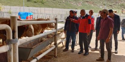 Sivas'ta kurban pazarında tedbirler en üst seviyede