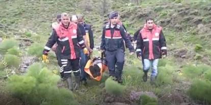 Sivas'ta  korku dolu anlar: Mantar toplarken ayı saldırısına uğradı!