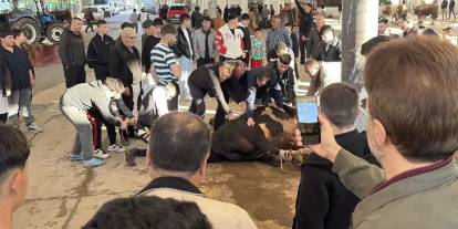 Sivas'ta kurban kesim noktalarında hareketlilik yaşanıyor