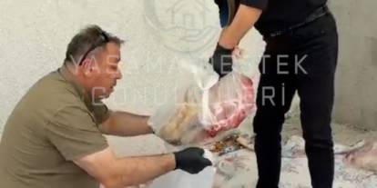 Kurban bağışları ihtiyaç sahiplerine ulaştı
