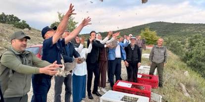 900 keklik doğaya salındı