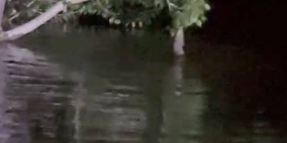Sivas'ta fıkra gibi olay: Kancaya takılan balık ağaca tırmandı