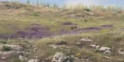 Zara’da üretici gözlerine inanamadı! Endişeli bekleyiş sürüyor...