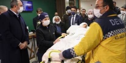 Mahkeme pitbulları 'silah' saydı, indirim yapmadı!