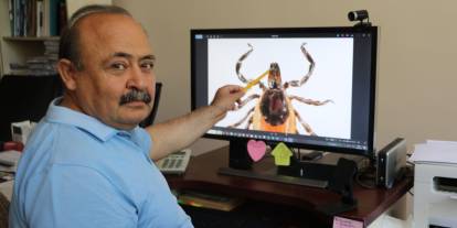 Sivaslı profesörden korkutan kene uyarısı: "Tek bir kene 10 bin yumurta bırakıyor"