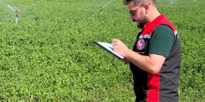 Şarkışla'da yem bitkisi mesaisi: İl Tarım ekipleri destekleme kontrolleri için sahada