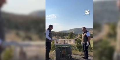 Sivas'ta kurtarılan kerkenez yavruları doğaya bırakıldı