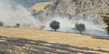 Sivas yolunda otluk alanda yangın