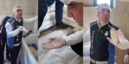 Fare dışkısından ve böcekten geçilmeyen fırındaki dondurucudan paslı keser çıktı