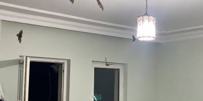 Ev sahibi gözlerine inanamadı: Sivas’ta bir daireden 20 yarasa çıkarıldı!