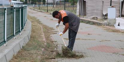 Şarkışla’da lavanta bahçesine bakım