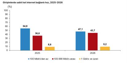TÜİK: Girişimlerin yüzde 52,9'u 100 megabit ve üzeri hızda internet kullandı