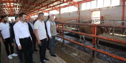 Besicinin maliyet yükü Sivas’ta masaya yatırıldı
