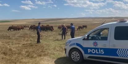 Sivas’ta anız yakanlara dönüm başına ceza uygulanacak
