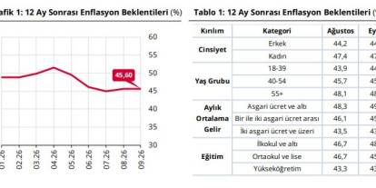 Hanehalkı beklentileri açıklandı