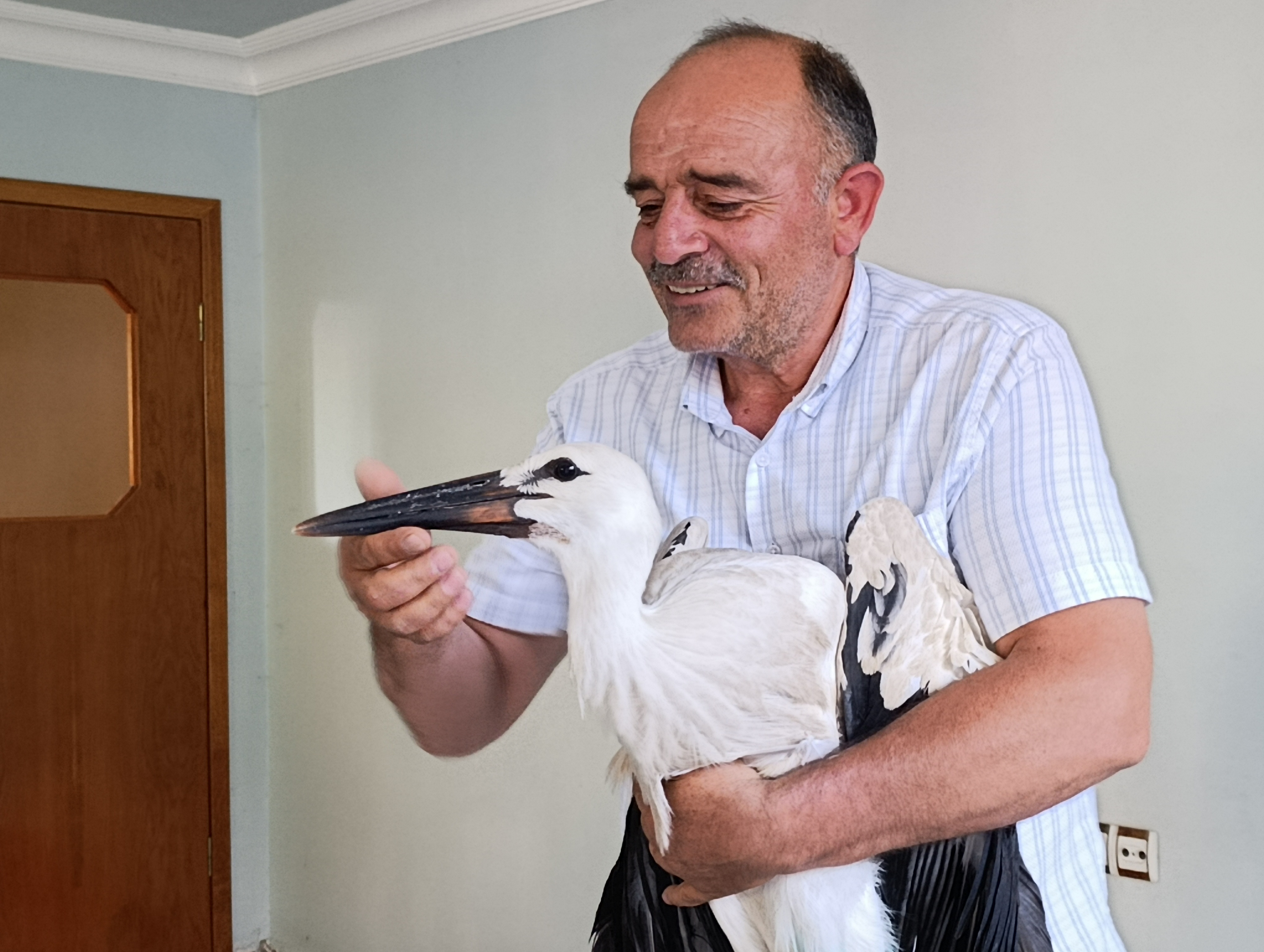 aa-20250715-38561370-38561369-sarkislada-yarali-bulunan-leylek-tedaviye-alindi.jpg
