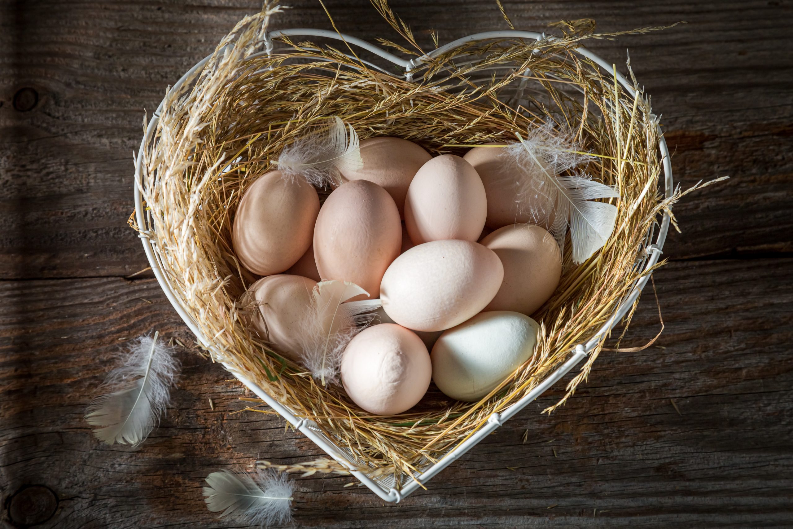 healthy-eggs-from-the-farm-eggs-from-free-range-2022-03-31-18-26-59-utc-scaled.jpg