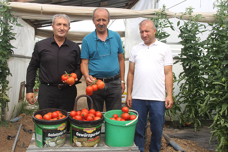 aa-20250725-38656940-38656937-anadolunun-kirac-topraklarinda-yilda-100-ton-domates-uretiyor-1.jpg