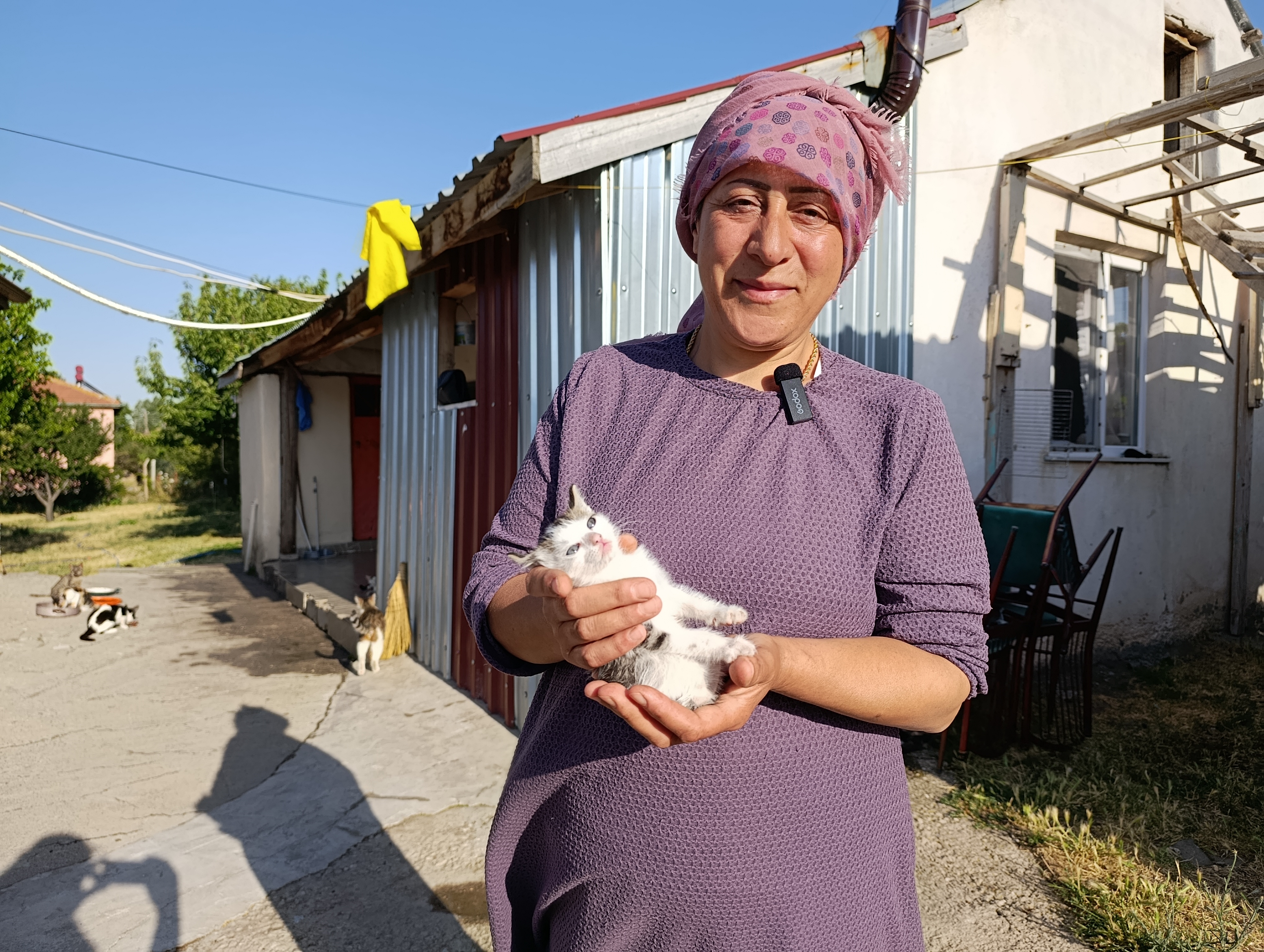 aa-20250801-38720573-38720572-hayvansever-kadin-mustakil-evinin-bahcesini-sokak-kedilerine-yuva-yapti.jpg