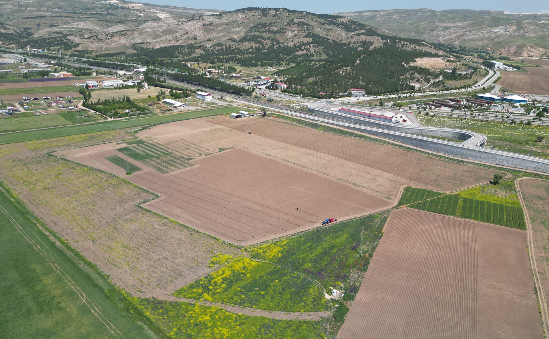 dji-0788.jpg