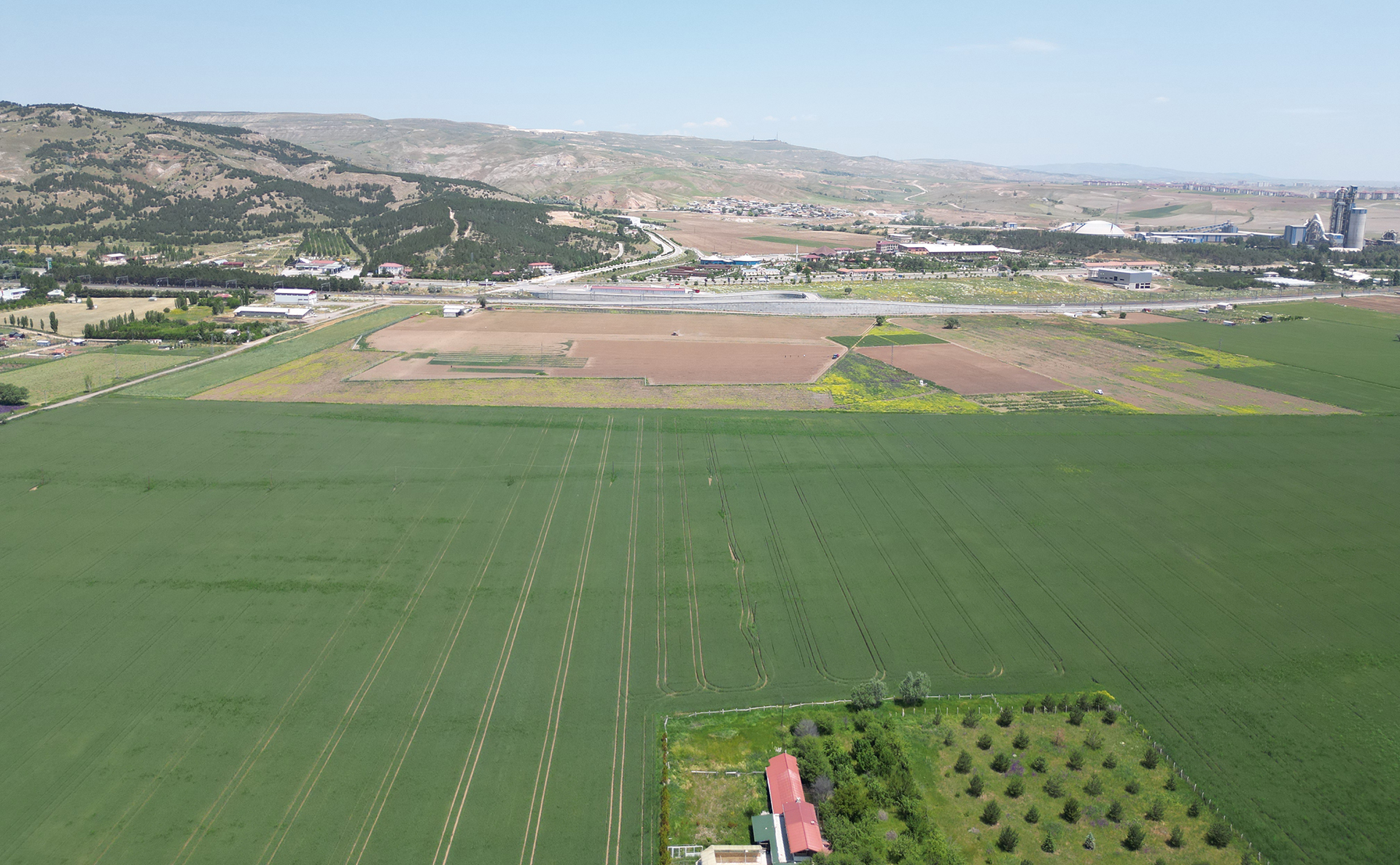 dji-0854.jpg