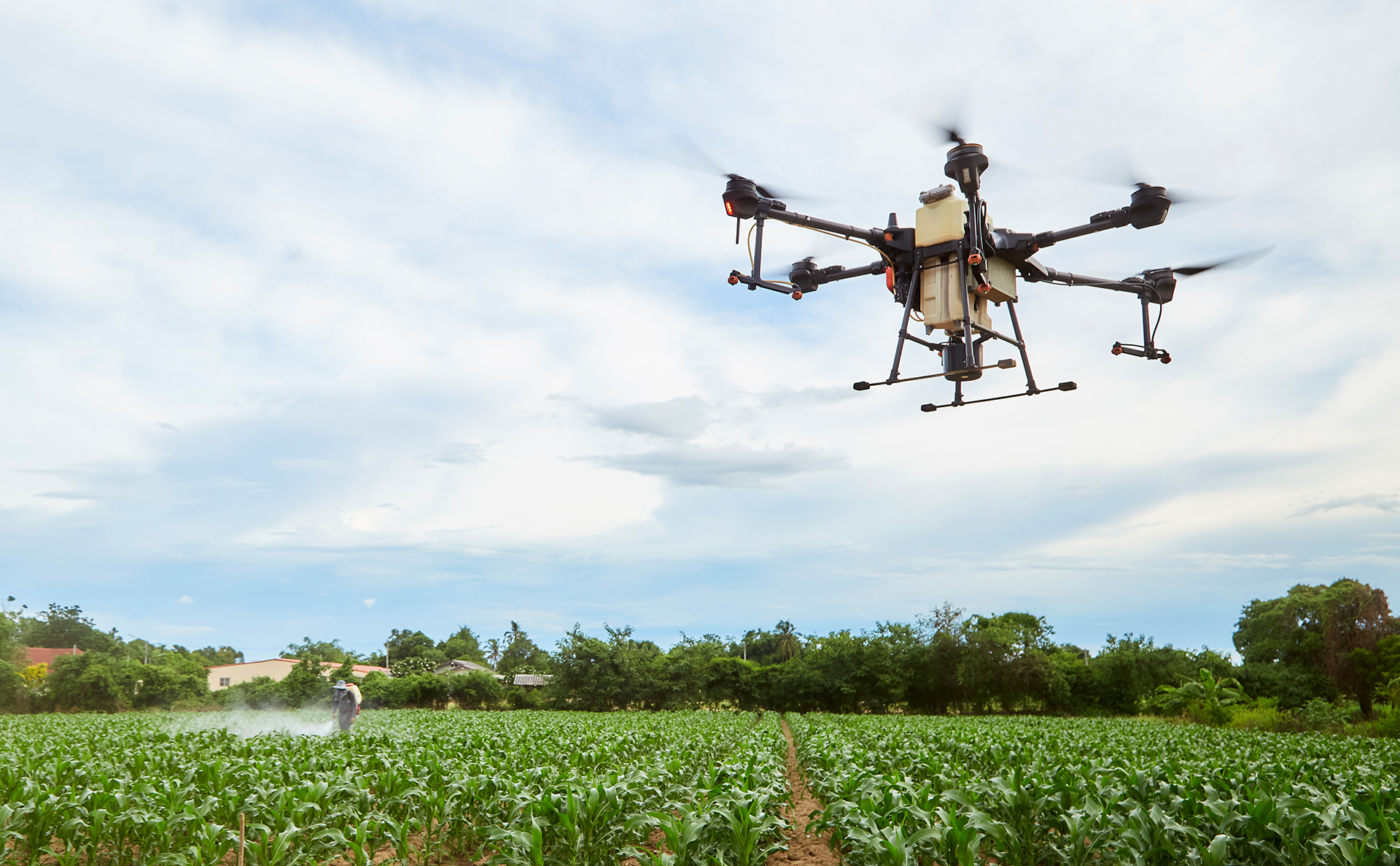 dji-0854s.jpg