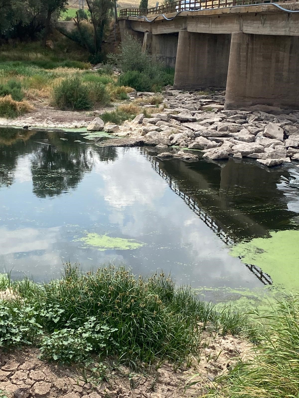528785595-122177861552569860-6827269135551434317-n.jpg