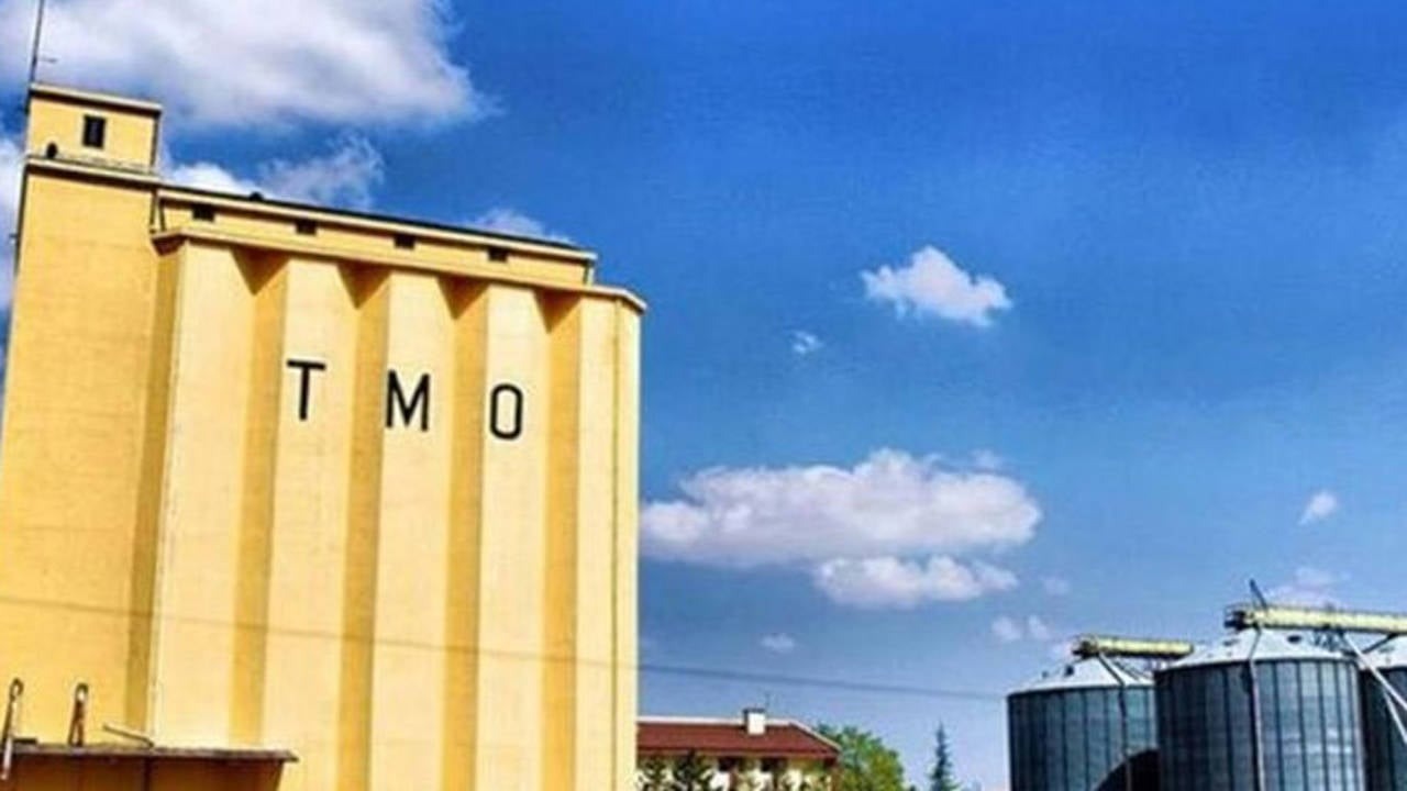 tmo-uluslararasi-sirketlerin-ofi.jpg