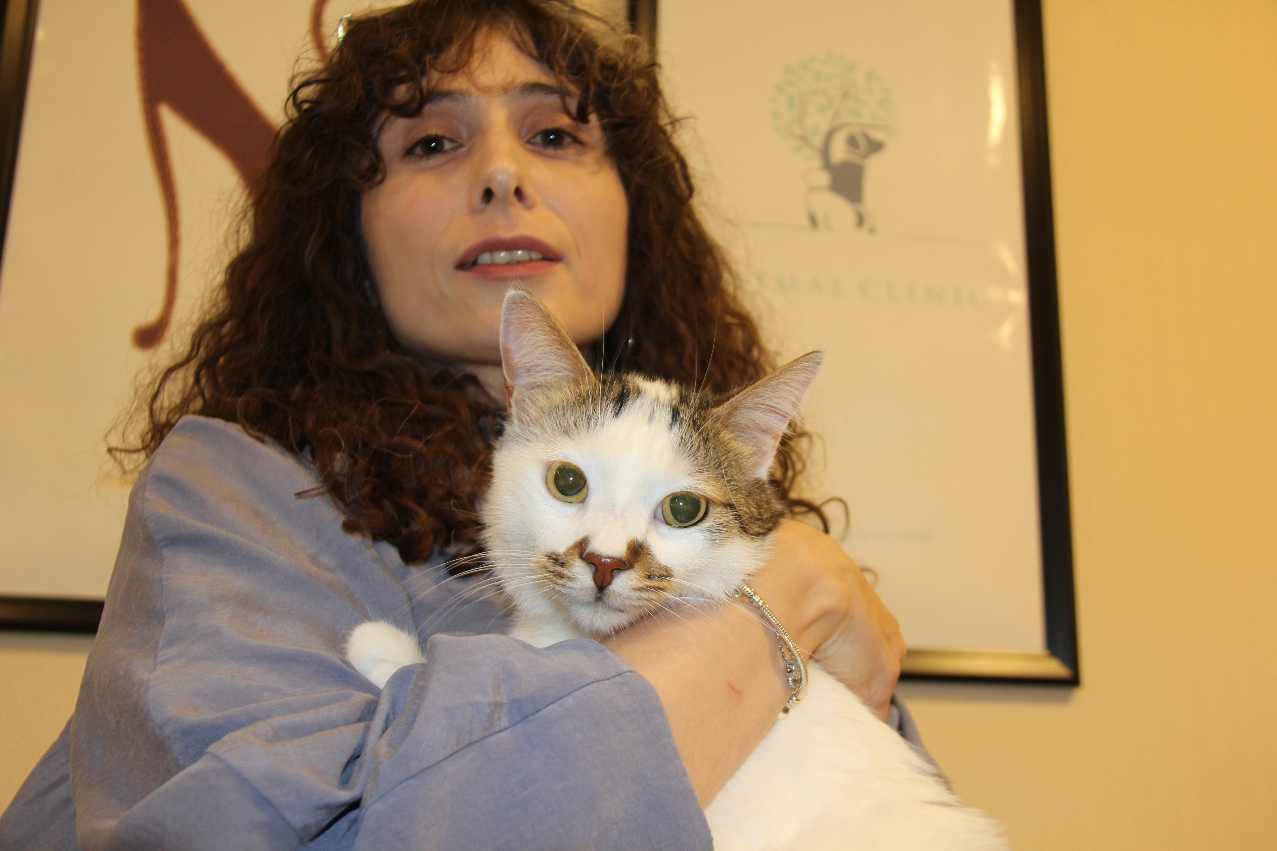 sehir-degistirince-depresyona-giren-pas-921633-273857.jpg