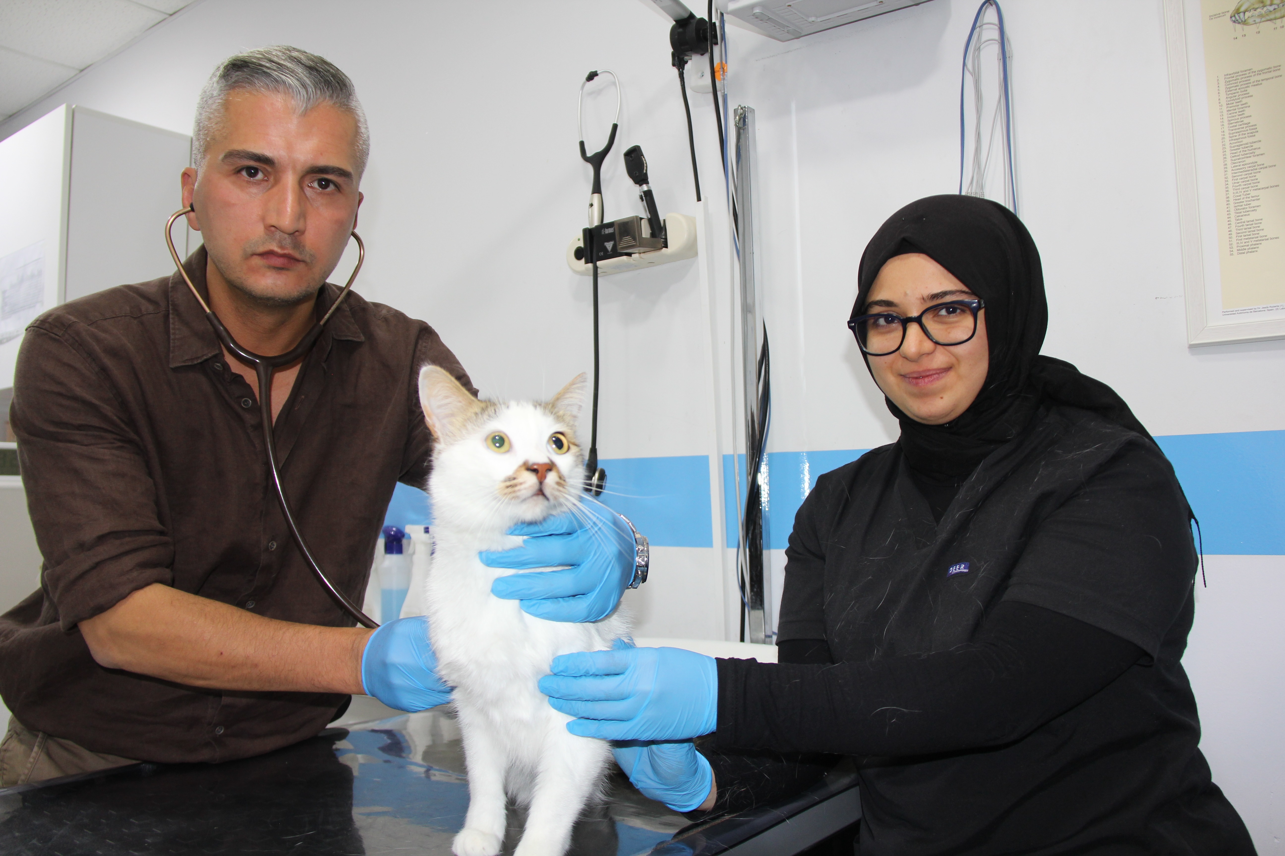sehir-degistirince-depresyona-giren-pas-921634-273857.jpg