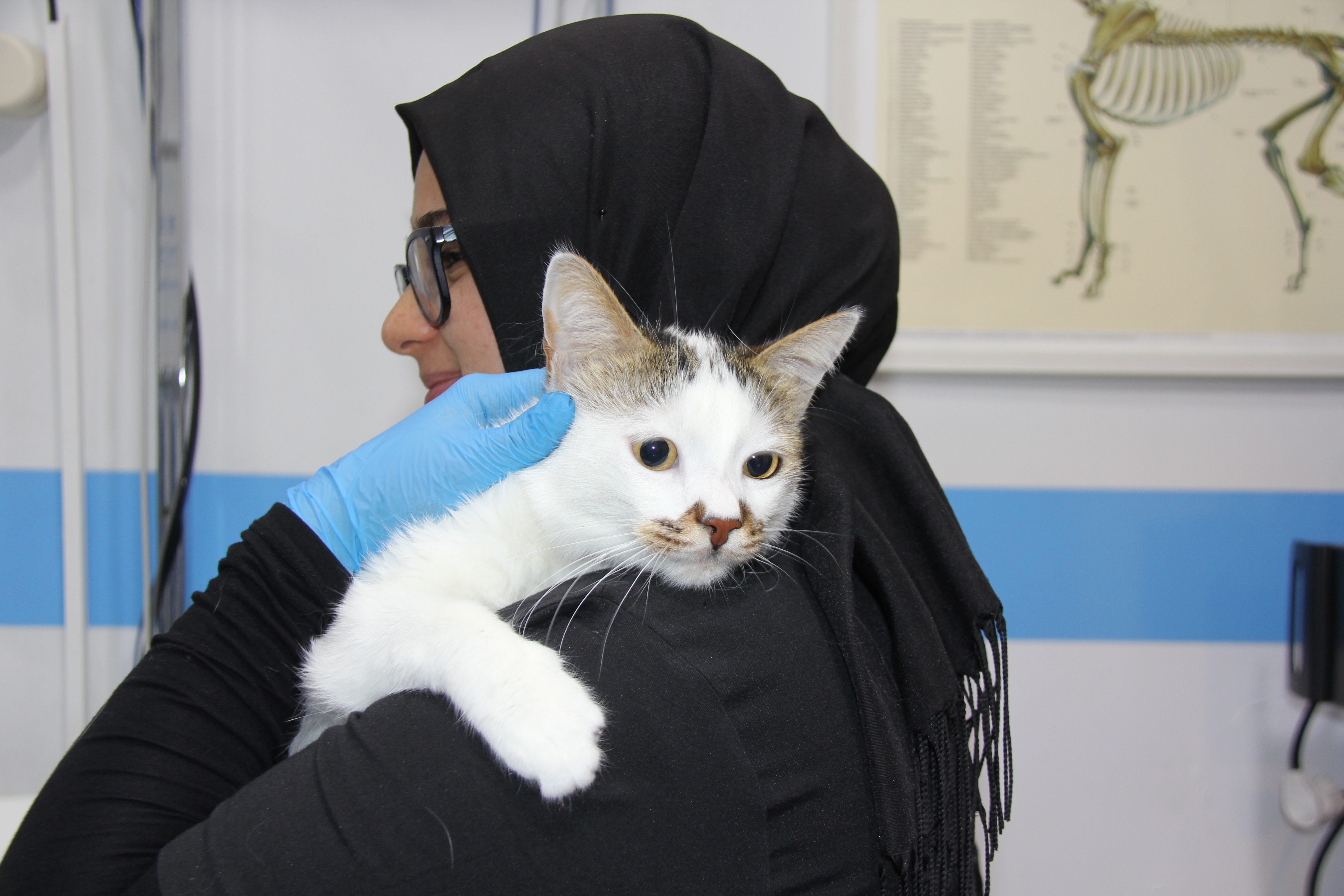sehir-degistirince-depresyona-giren-pas-921637-273857.jpg