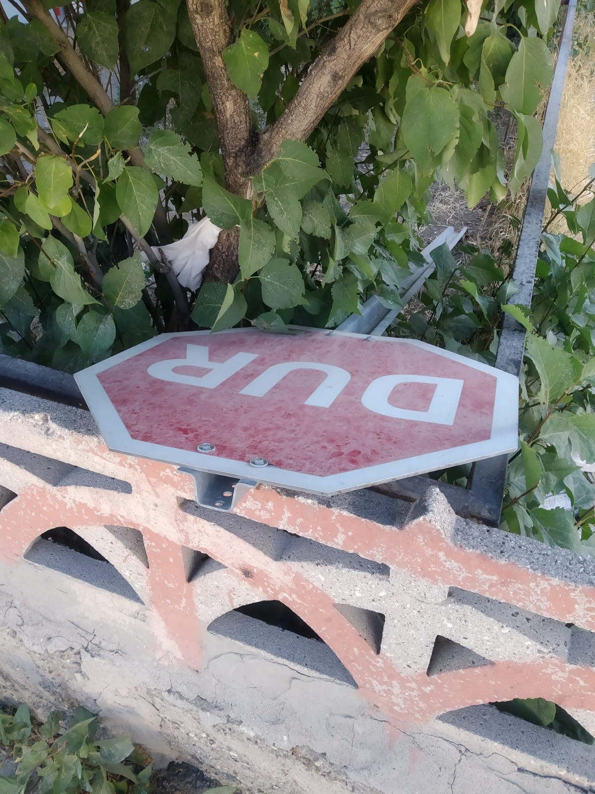levha-2.jpg