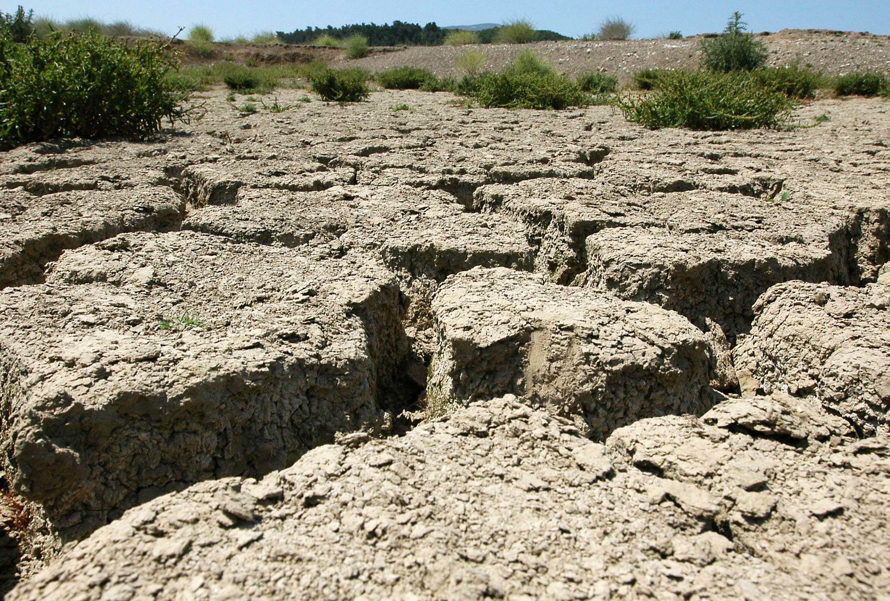 kuraklik-ve-su-krizi-gida-sektorunu-olu-929243-276010.jpg