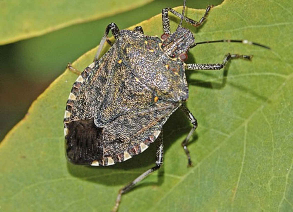 aw563521-05.jpg