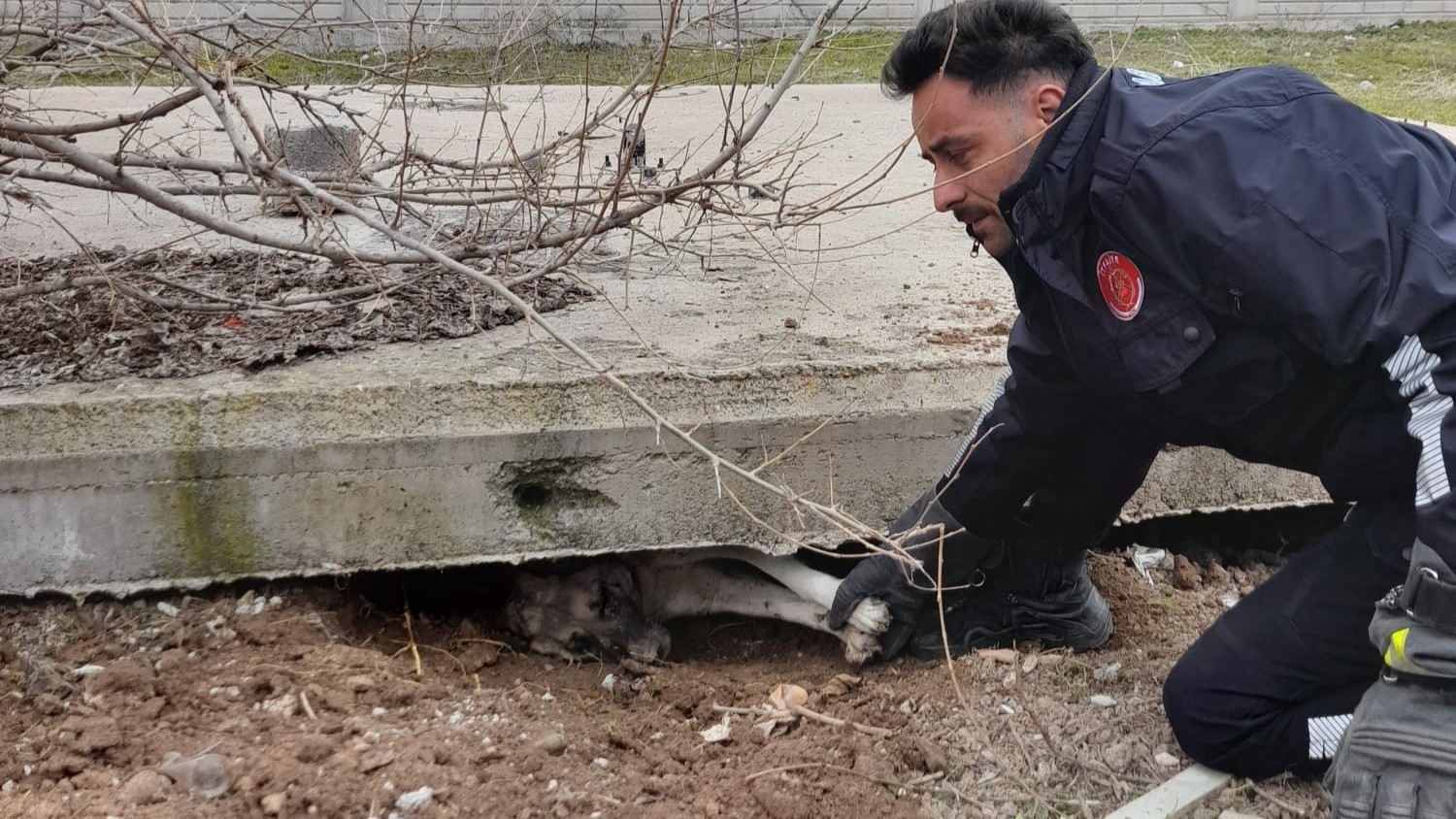 aa-20260317-40844635-40844632-sivasta-sikistigi-yerde-mahsur-kalan-sahipsiz-kopek-itfaiye-ekiplerince-kurtarildi.jpg