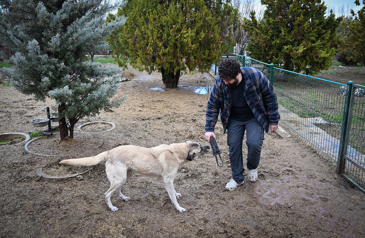sahipsiz-kopekler-yeni-hayatlarina-hazirlaniyor-2.jpg